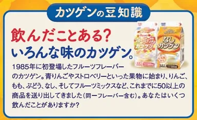 パッケージ側面表示