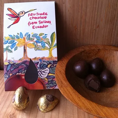 エクアドル・サリナス村『カカオの森のハチドリ』