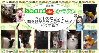 『board』第1回コンテストイメージバナー