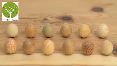 誕生木のたまご