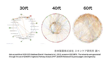 年代別における炎症関連遺伝子の発現推移
