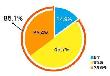 隠れ炎症度　診断結果
