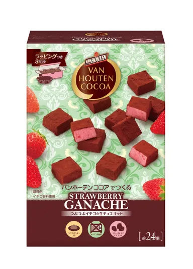 「バンホーテン ココアでつくる つぶつぶイチゴの生チョコ キット」
