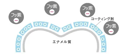 ハミガキ図2