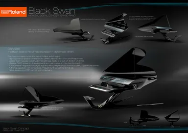 奨励賞　Black Swan