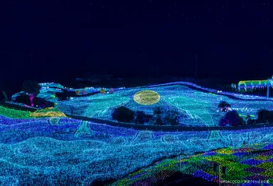 グランイルミ1(『海底浮遊する貴方とその仲間たち』エリア)