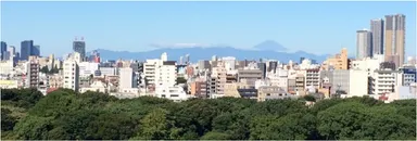 ベランダからの眺望