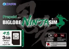 BIGLOBE NINJA SIM