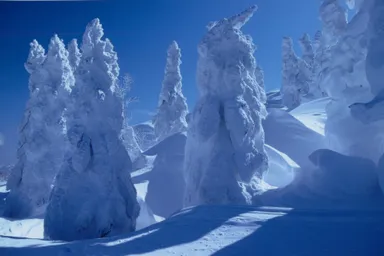 樹氷 4