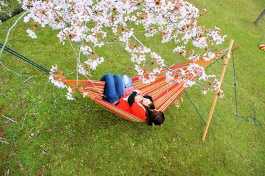 CT hammock double rainbow