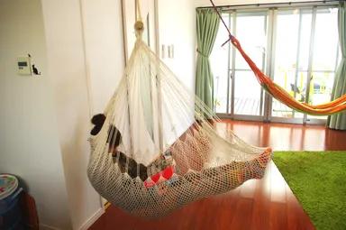 CT chair hammock ivory