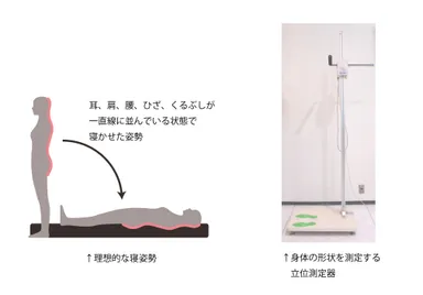 理想的な寝姿勢と立位測定器
