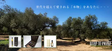 WEBイメージ画像