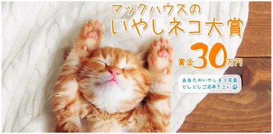 マックハウスの「いやしネコ大賞」