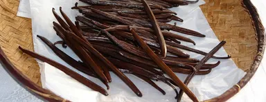 ジボダン社により倫理的に調達されたバニラ