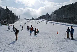 六甲山スノーパーク