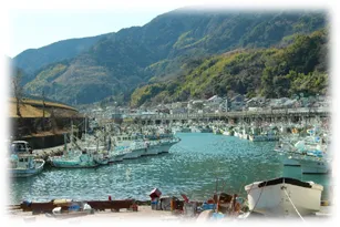 駿河湾 イメージ 2