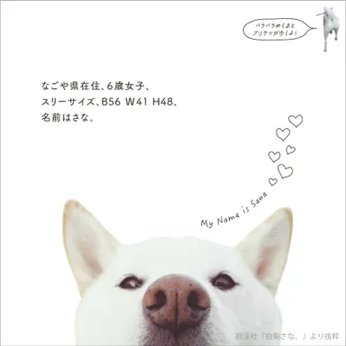 『白柴さな。』より(なごや県在住、6歳女子。）