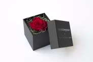 プリザーブドフラワーボックス　Nicolai Bergmann Flowers ＆ Design