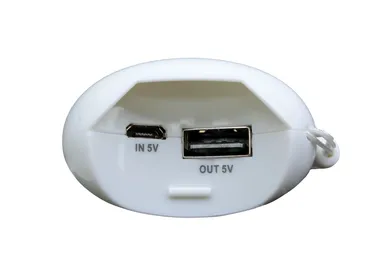 「プチサンダー」04