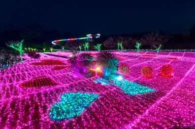 伊豆ぐらんぱる公園「グランイルミ」2