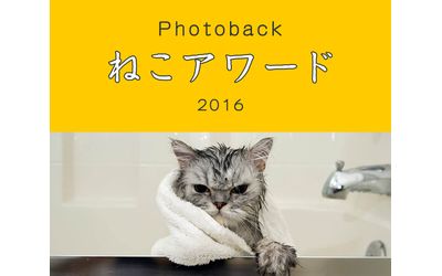 Fb img 89581 1