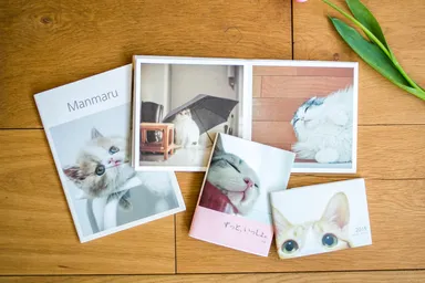 フォトブックイメージ