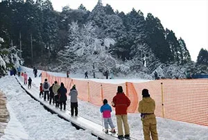 「ムービングベルト」利用時の様子