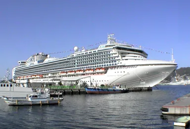 ダイヤモンド・プリンセス (1)