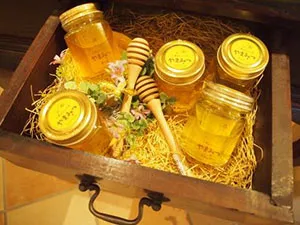 六甲山ミツバチ　やまみつ（アカシア蜜・百花蜜）