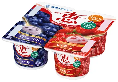 『ナチュレ 恵 megumiブルーベリー＋いちご』