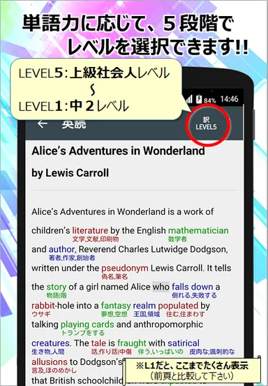 英語力に合わせて5段階のレベル分け