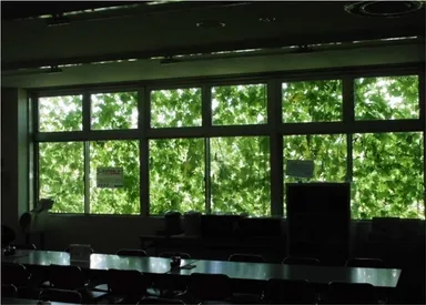 グリーンカーテンの設置：屋内）