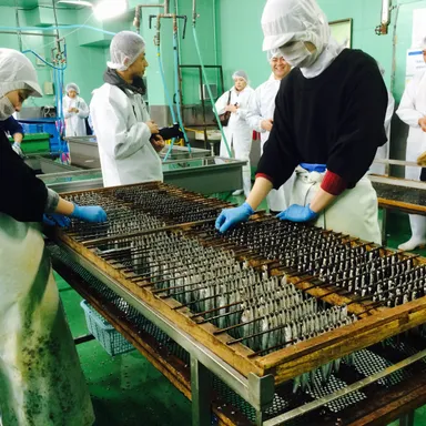 朝獲れいわし丸干し