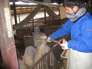 四国山地の大自然×ストレスフリー×愛情