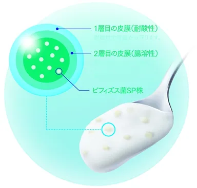 『恵megumi ビフィズス菌SP株カプセルヨーグルト ドリンクタイプ』の腸溶性カプセル