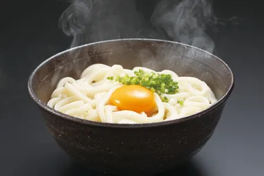 香川のさぬきうどんを提供