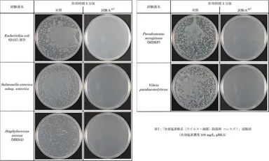「コレスゴ！」の除菌力(1)
