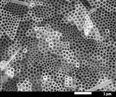 チタニアナノチューブ