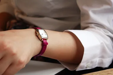 エンボスシリーズ　スネーク