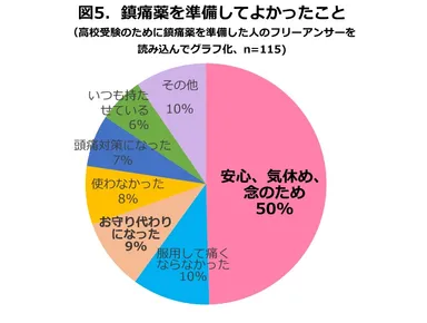 図5．鎮痛剤を準備してよかったこと