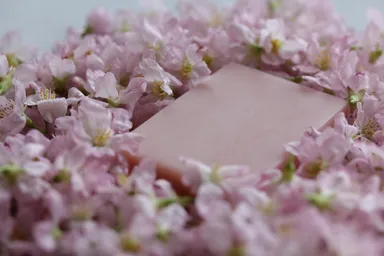 水入りせっけん『さくら』 1