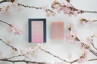 水入りせっけん『さくら』 5