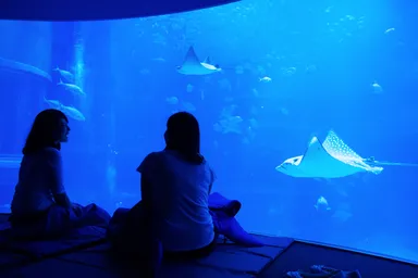 女性だけでゆっくり過ごせます