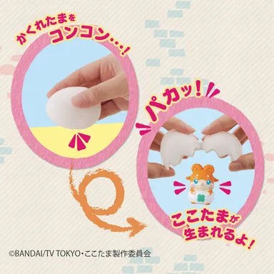 “コンコン” パカッ！