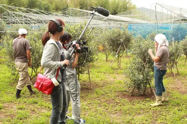 果樹農園での取材