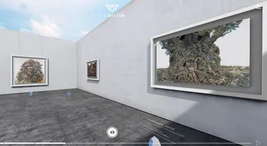 360°パノラマビューで鑑賞可能