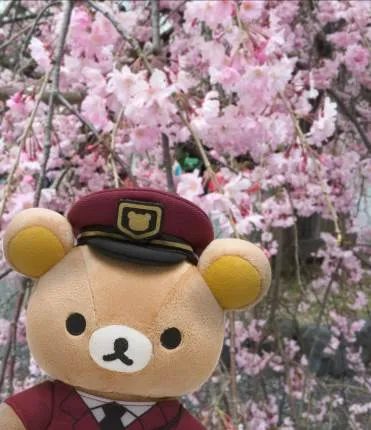 投稿写真イメージ