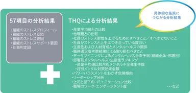 THQによる分析結果