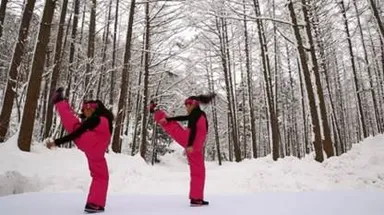 プリンセスの軽快なダンス